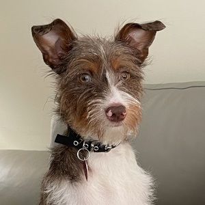 Meet your Posher, Marie